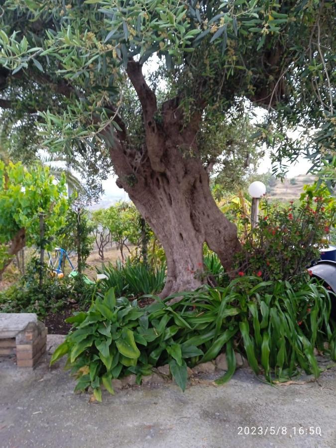 Casa Da Daniela Villa Taormina Ngoại thất bức ảnh